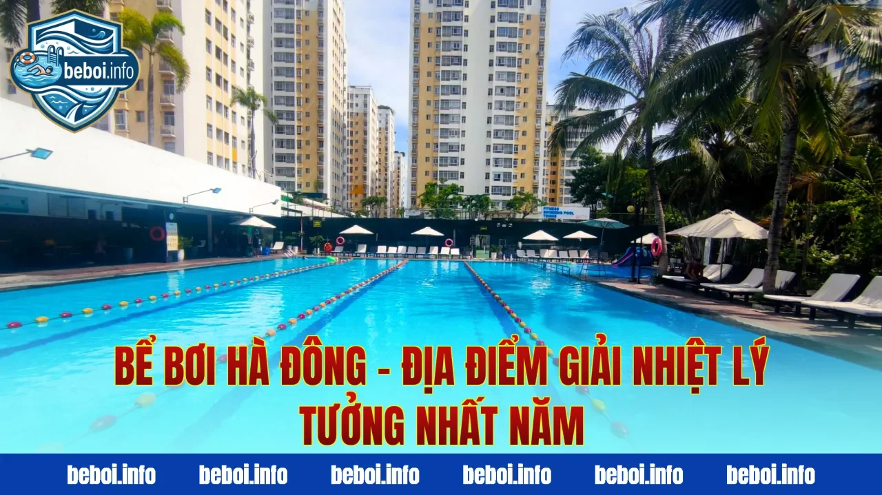 Bể Bơi Hà Đông – Địa Điểm Giải Nhiệt Lý Tưởng Nhất Năm